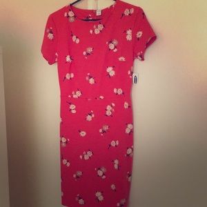 Orange red daisy shift dress
